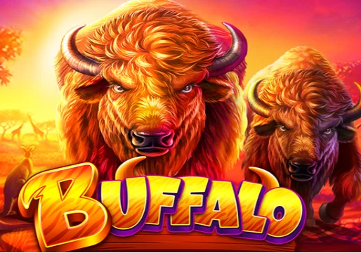 Buffalo img (2)